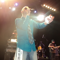 Collie Buddz