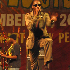 Bounty Killer