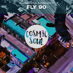 Fly 90
