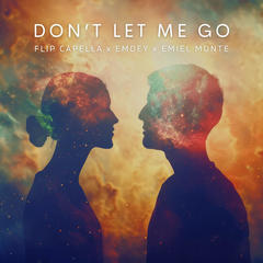 Don't Let Me Go