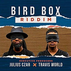 Bird Box