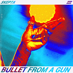 Bullet From A Gun