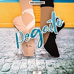 Pegaito