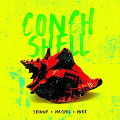 Conch Shell