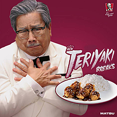 Teriyaki Breaks