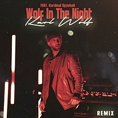 Wolf In The Night