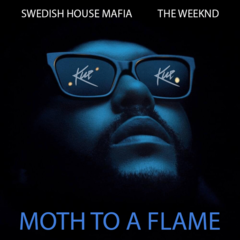 Moth To A Flame