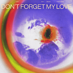 Don't Forget My Love