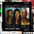 Can't Let You Go