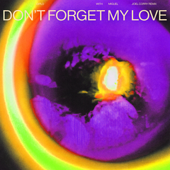 Don't Forget My Love