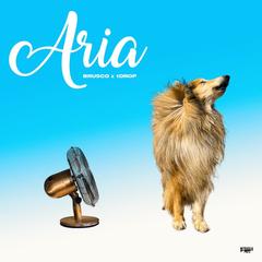 Aria