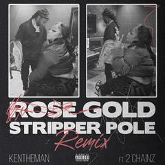 Rose Gold Stripper Pole