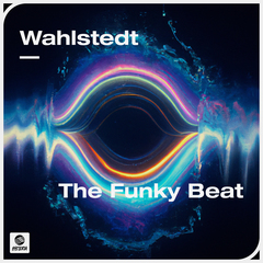 The Funky Beat