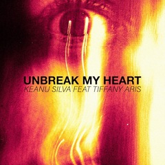 Unbreak My Heart