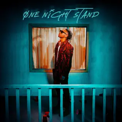 One Night Stand