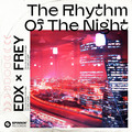 The Rhythm Of The Night