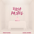 Rosa Pastel