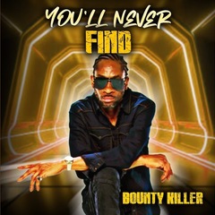 You'll Never Find