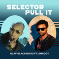 Selector Pull It