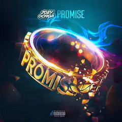 Promise