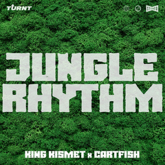 Jungle Rhythm