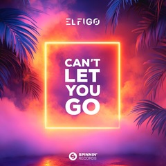 Can't Let You Go
