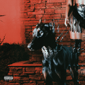 Dancing With Demons