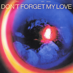 Don't Forget My Love