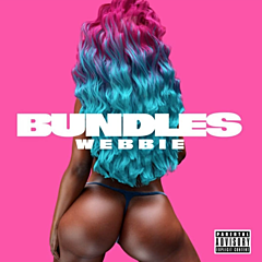 Bundles