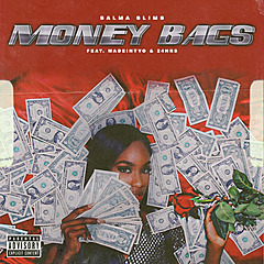 Money Bags