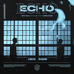 Echo